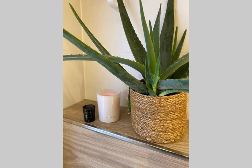 Warm Welkom! Zeer Ruime Prive Studio Met Tuin Harlingen Dış mekan fotoğraf
