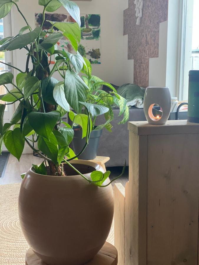 Warm Welkom! Zeer Ruime Prive Studio Met Tuin Harlingen Dış mekan fotoğraf